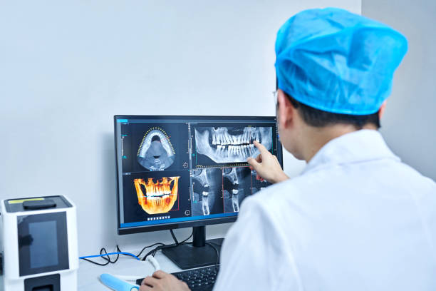 Best Emergency X-Rays and Diagnostics in Brevard, NC